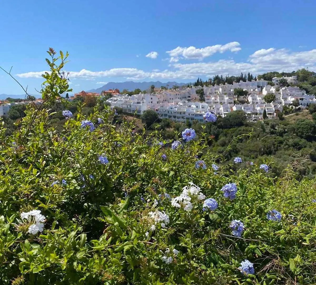 Golden Dreams Of Marbella Apartman